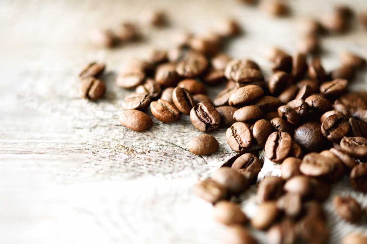 Home - Malabar Roastery