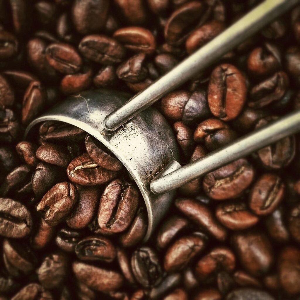 Jual Kopi Kiloan Terdekat